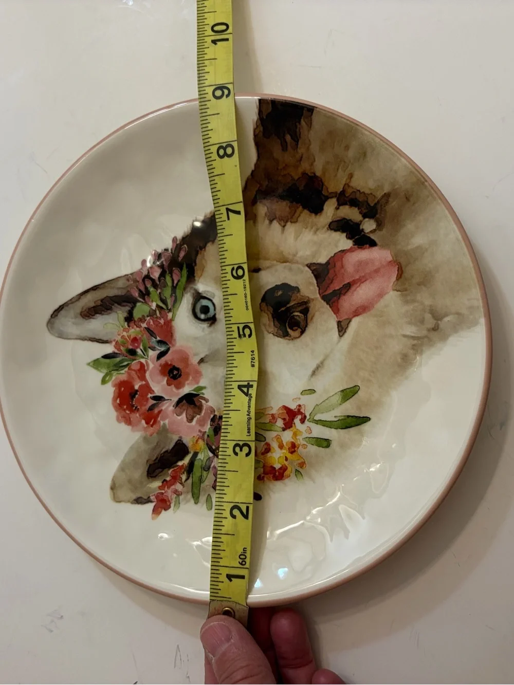 Pier one imports dolomite salad plate watercolor husky with floral crown